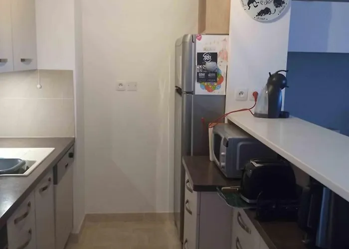 T2 Climatise Avec Piscine, Wifi, Terrasse Et Jardin Au Port De - Fr-1-335-194