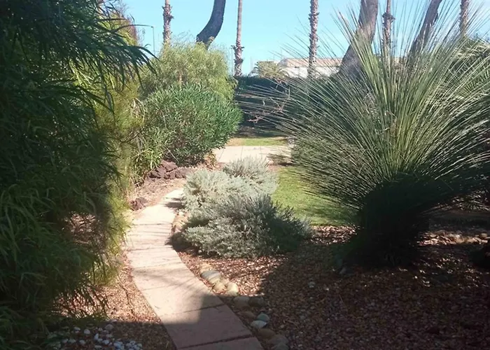 T2 Climatise Avec Piscine, Wifi, Terrasse Et Jardin Au Port De - Fr-1-335-194